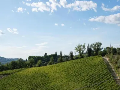 Paesaggio naturale nelle vicinanze della casa vacanze