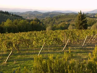 Paesaggio naturale nelle vicinanze della casa vacanze