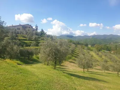 Paesaggio naturale nelle vicinanze della casa vacanze