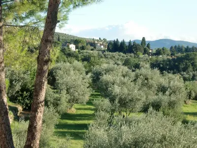 Paesaggio naturale nelle vicinanze dell'appartamento