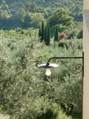 Paesaggio naturale nelle vicinanze dell'appartamento