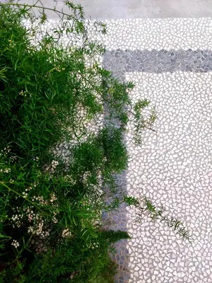Paesaggio naturale nelle vicinanze dell'appartamento