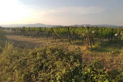 Paesaggio naturale nelle vicinanze dell'appartamento