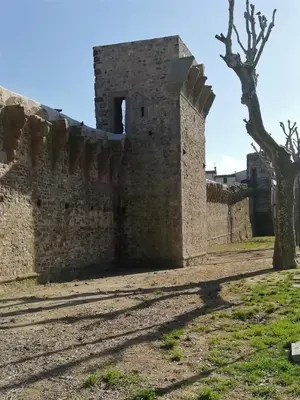 Planimetria di 7centro