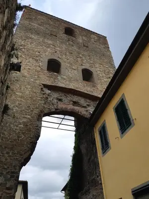 Planimetria di 7centro