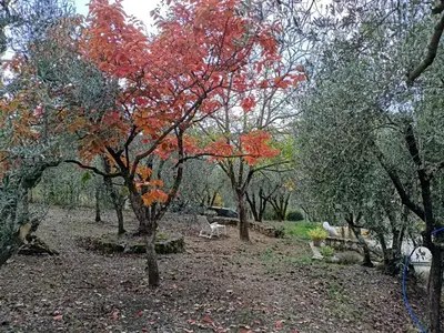 Giardino di Poggio House, tranquillità e comfort nella natura