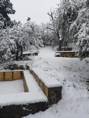 Poggio House, tranquillità e comfort nella natura durante l'inverno