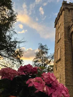 Giardino di CASA LA TORRE un castello alle porte di Firenze