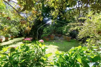 Giardino di GuestHost - Le Serre di Galileo