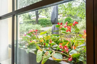 Giardino di GuestHost - Le Serre di Galileo