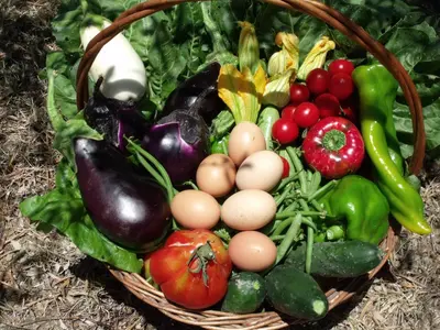 Cibo presso l'agriturismo o nelle vicinanze