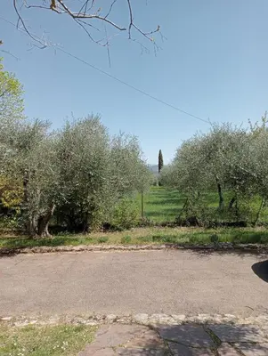 Giardino di Al Canaiolo
