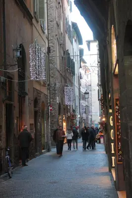 Ospiti di Acacia Firenze - Quercia