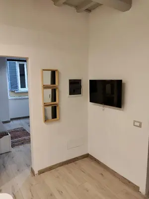 TV o dispositivi per l'intrattenimento presso Cozy apartment near Ponte Vecchio