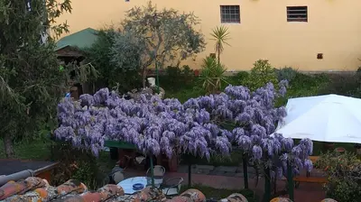 Giardino di La Tinaia