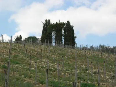 Paesaggio naturale nelle vicinanze della casa vacanze