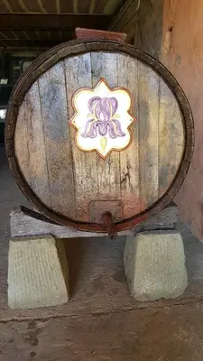 Planimetria di Poggio Borgoni