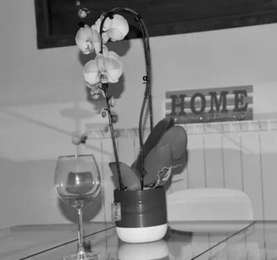Bevande di Brand new apartment