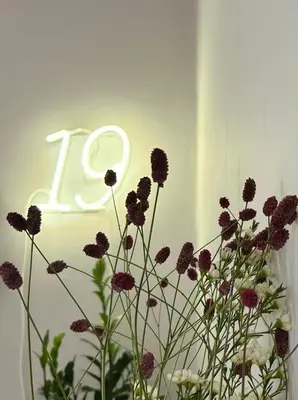 Planimetria di Domus 19