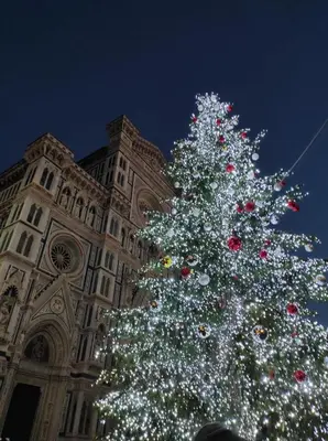 Planimetria di The One Firenze