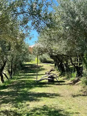 Paesaggio naturale nelle vicinanze della casa vacanze