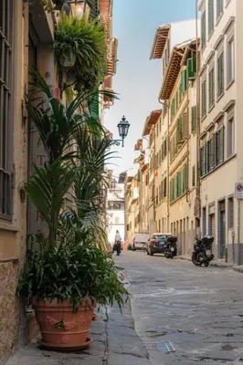 Il quartiere o una zona nella vicinanze dell'affittacamere