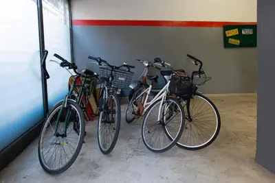 Attività di ciclismo presso l'hotel o nelle vicinanze