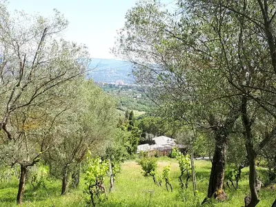 Paesaggio naturale nelle vicinanze dell'agriturismo