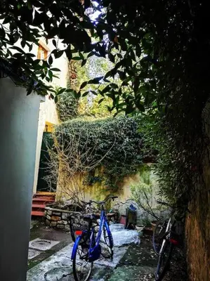 Attività di ciclismo presso l'appartamento o nelle vicinanze