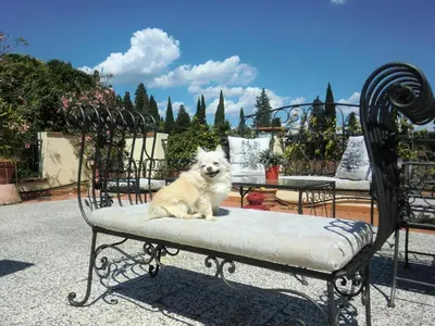 Ospiti di Argentiere Room Apartments con animali domestici