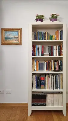 Biblioteca nell'appartamento
