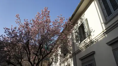 Edificio in cui si trova l'appartamento