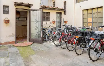 Attività di ciclismo presso l'appartamento o nelle vicinanze