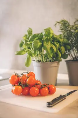 Cibo presso l'appartamento o nelle vicinanze