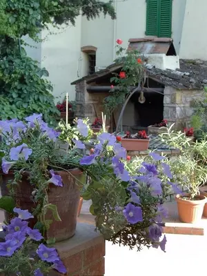 Giardino di Residence Casprini da Omero