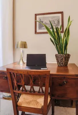 TV o dispositivi per l'intrattenimento presso Apartments Florence - The Slowcoach House
