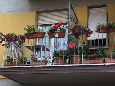 Balcone o terrazza di Albergo Cinzia