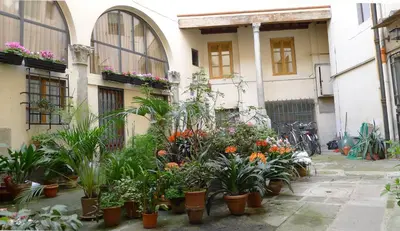 Planimetria di Pavone