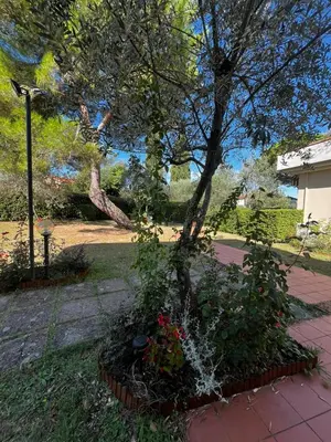 Giardino di Residence Poggio Golf Chianti Firenze