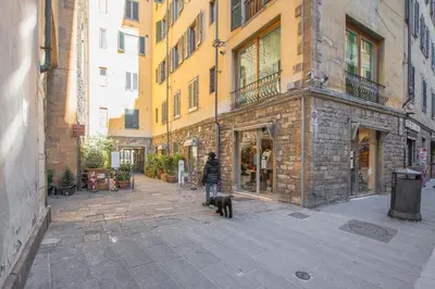 Il quartiere o una zona nella vicinanze dell'appartamento