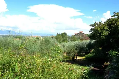 Paesaggio naturale nelle vicinanze della villa