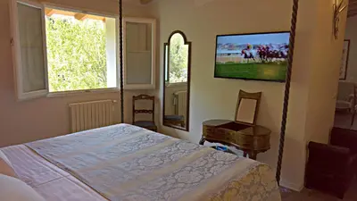 TV o dispositivi per l'intrattenimento presso Hotel David