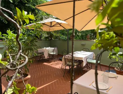Giardino di Hotel David