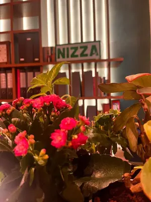 Planimetria di Hotel Nizza