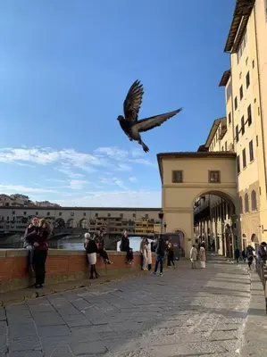 Ospiti di Apostoli Charme