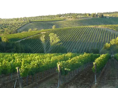 Paesaggio naturale nelle vicinanze dell'appartamento