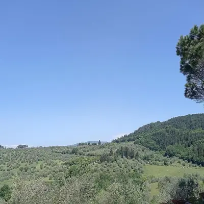 Paesaggio naturale nelle vicinanze dell'appartamento
