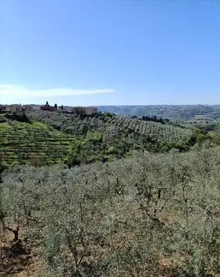 Paesaggio naturale nelle vicinanze della casa vacanze