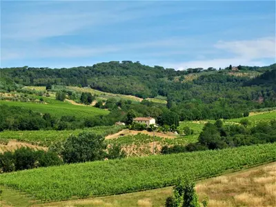 Paesaggio naturale nelle vicinanze della casa vacanze
