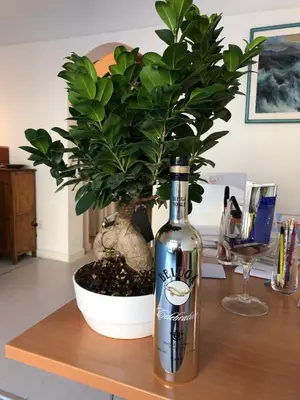 Bevande di Florence Apartments Home Feeling